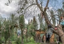 Pulau Boneka di Meksiko Disebut Pulau Paling Angker Sedunia–Berani Berkunjung?